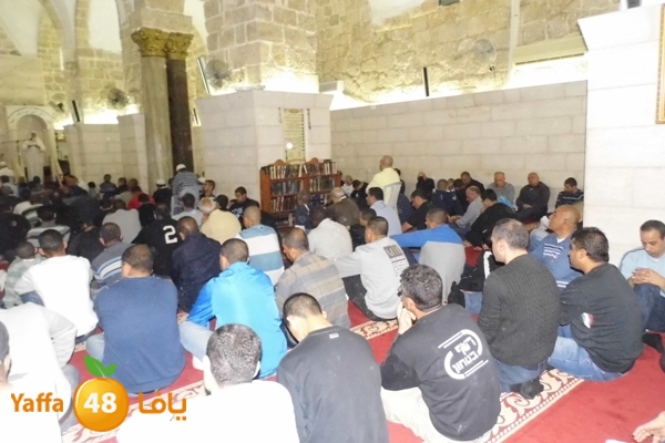 jom3akaberlud951 (5).JPG